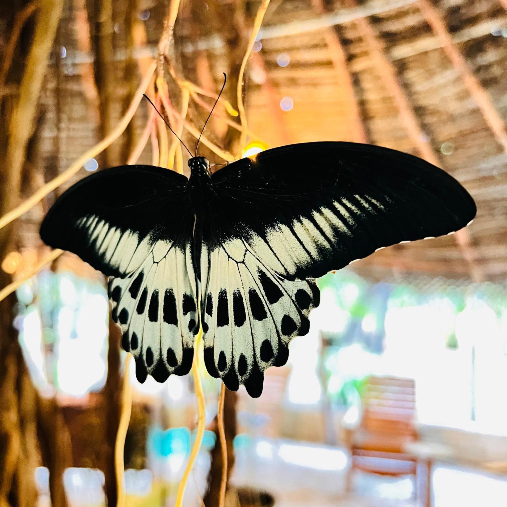 Sasvi Cabana Trincomalee Exterior foto