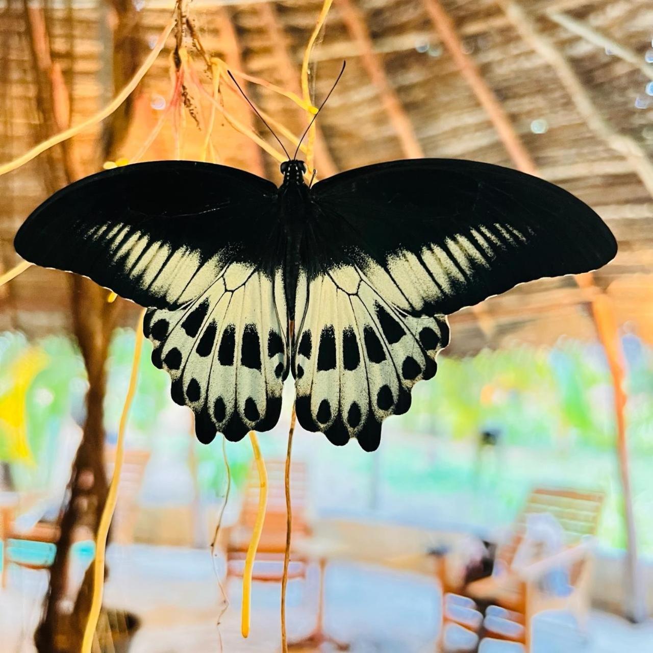 Sasvi Cabana Trincomalee Exterior foto